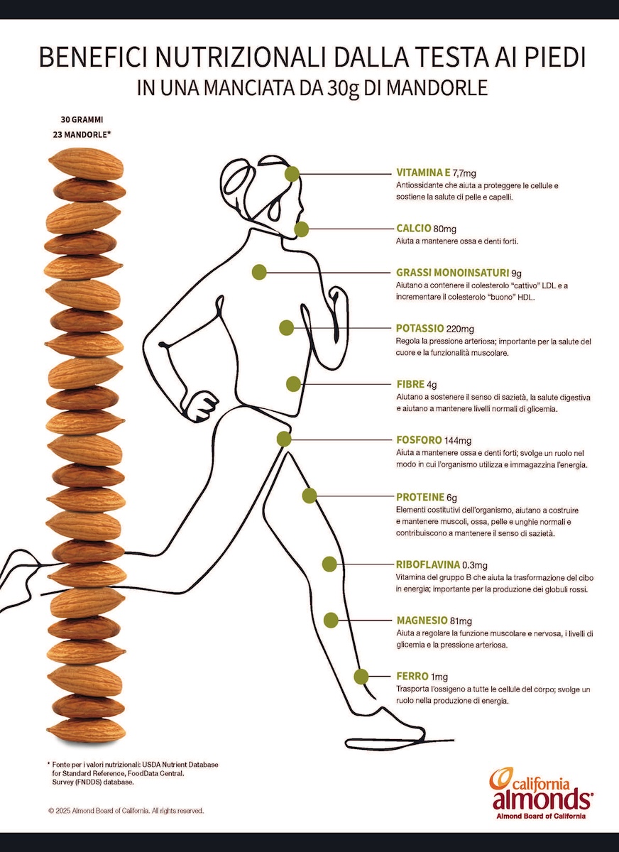 almond nutrition infographic